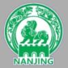 南京队 南京队